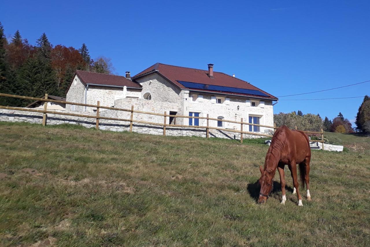 Chambres D'Hote Des 3 Marches Lamoura Exteriör bild